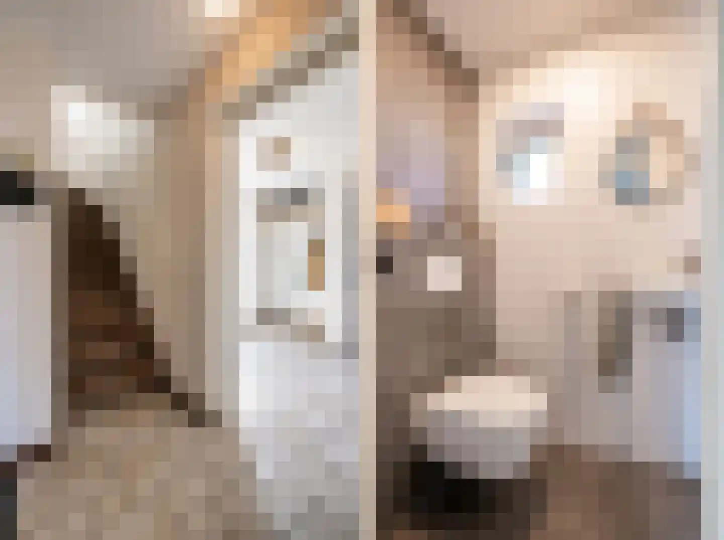 Durendaal 11 Oss thumbnail 6