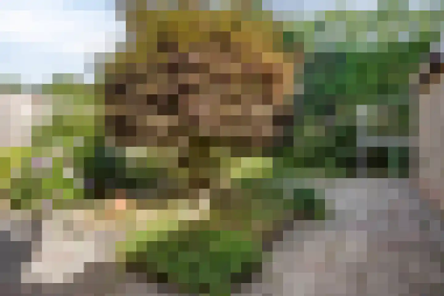 Durendaaldreef 56 Oisterwijk thumbnail 28
