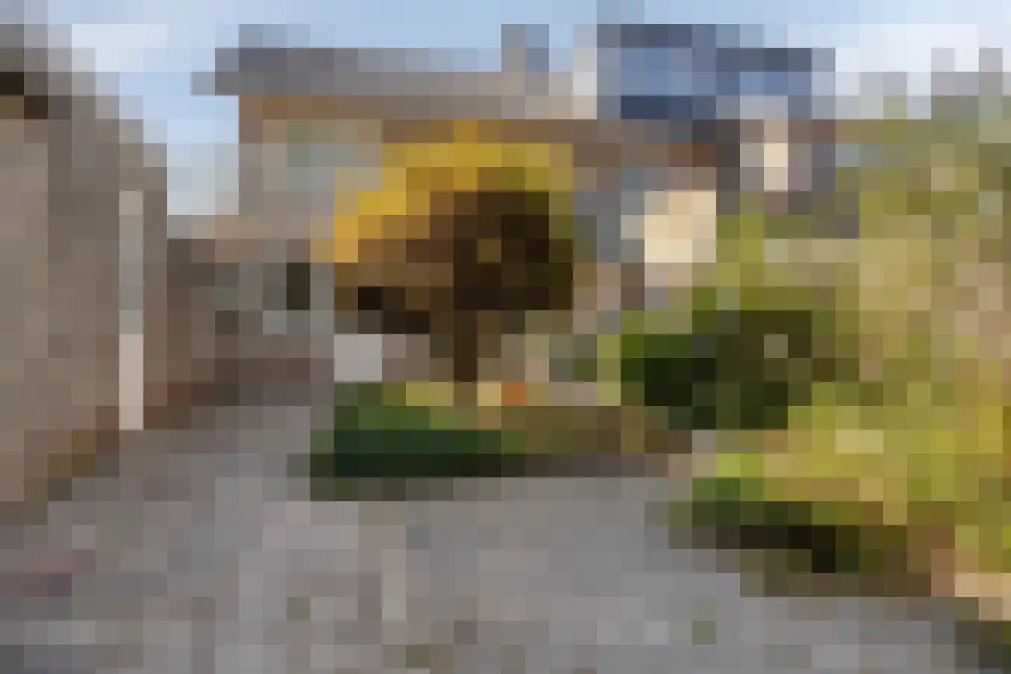 Durendaaldreef 56 Oisterwijk thumbnail 29