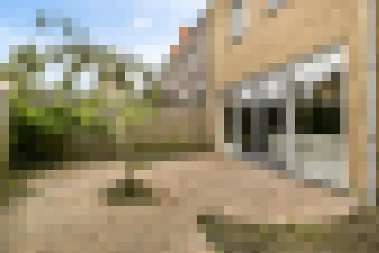 Durgerdamhaven 36 Amersfoort thumbnail 4