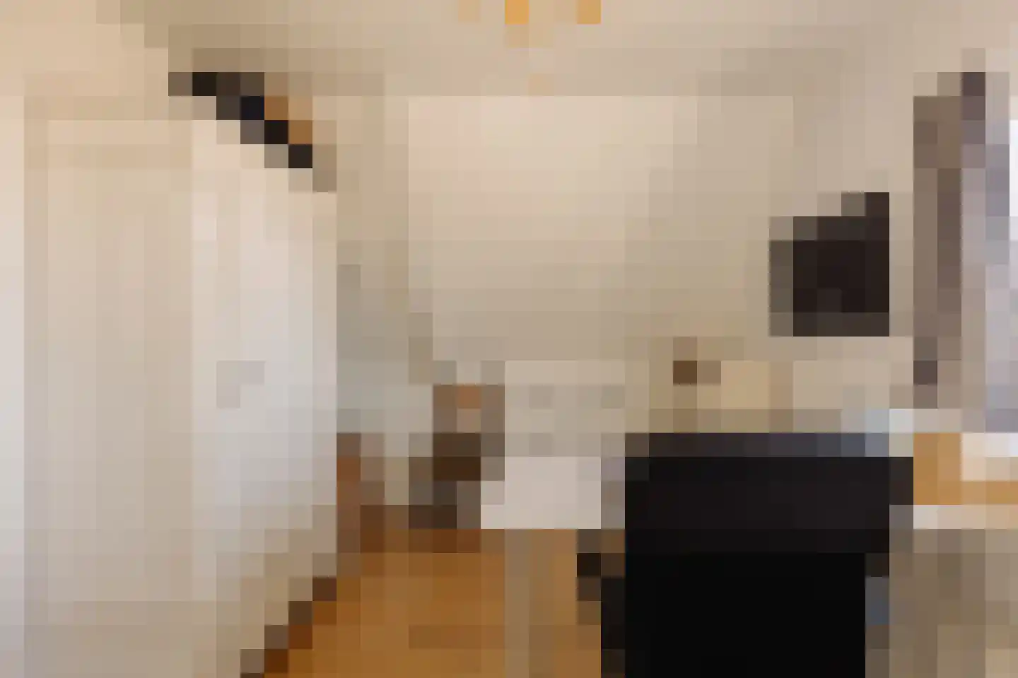 Durgerdammerdijk 133 Amsterdam thumbnail 33