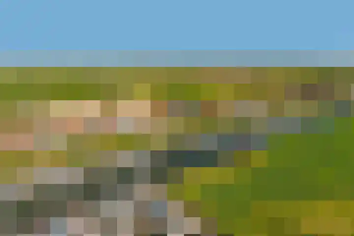 Durgerdammerdijk 133 Amsterdam thumbnail 58