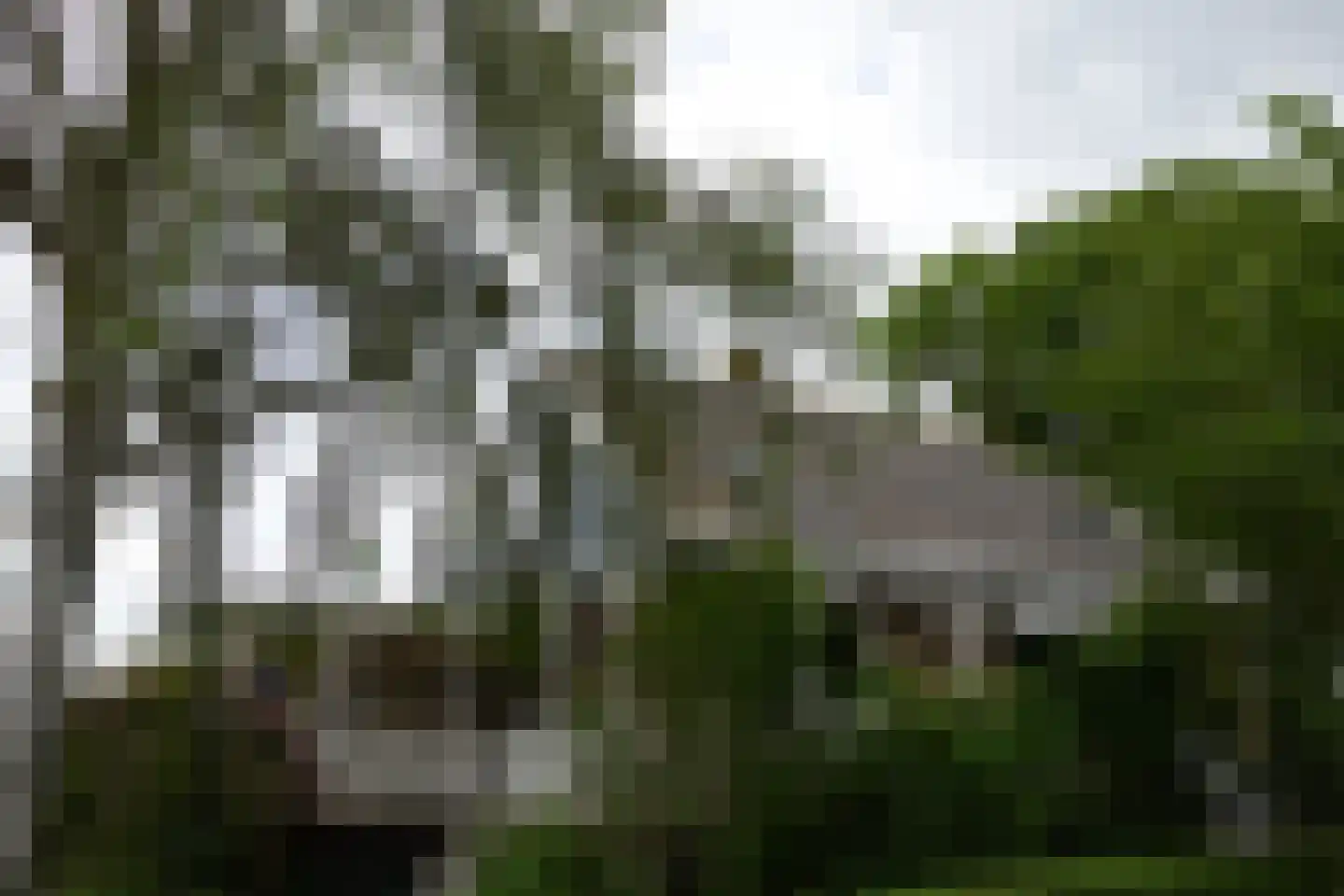 Durgerdammerdijk 138 Amsterdam thumbnail 28