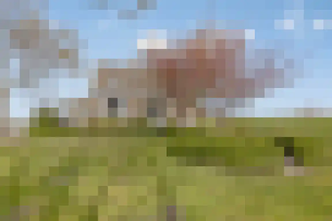 Durgerdammerdijk 138 Amsterdam thumbnail 28