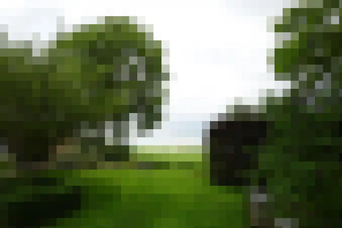 Durgerdammerdijk 138 Amsterdam thumbnail 30