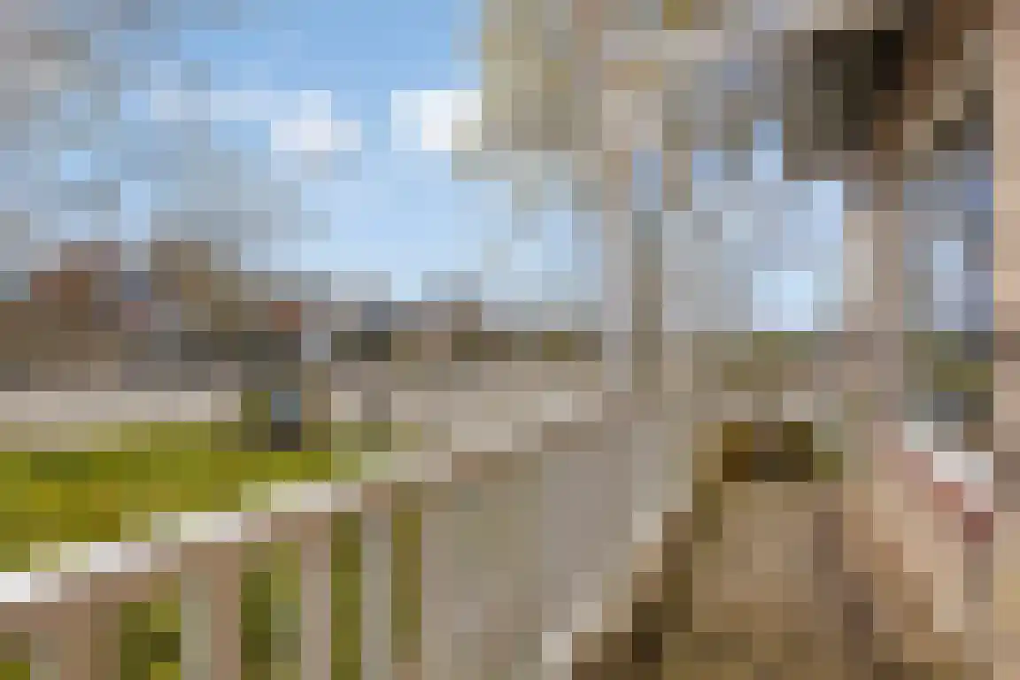 Durgerdammerdijk 138 Amsterdam thumbnail 32