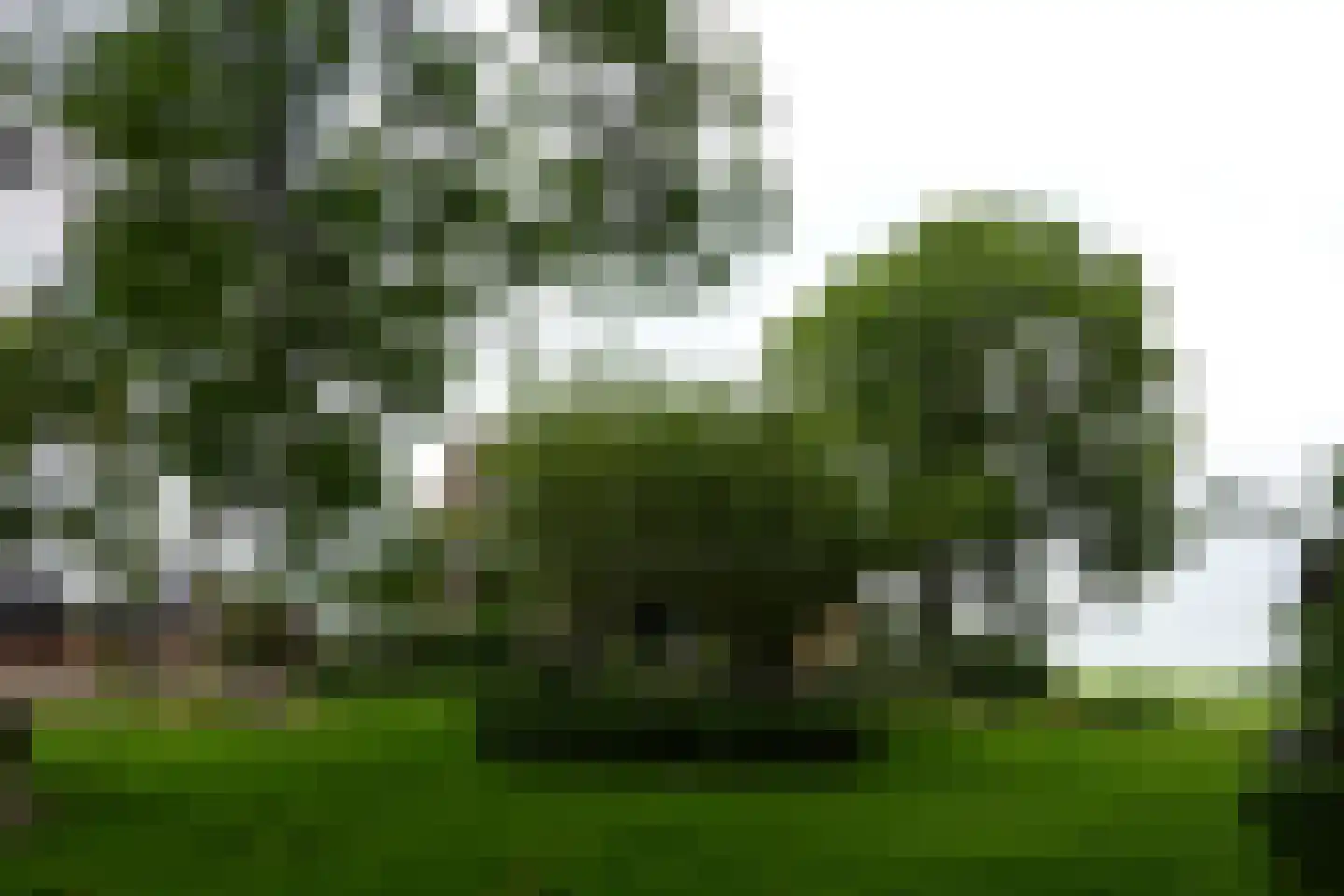 Durgerdammerdijk 138 Amsterdam thumbnail 5