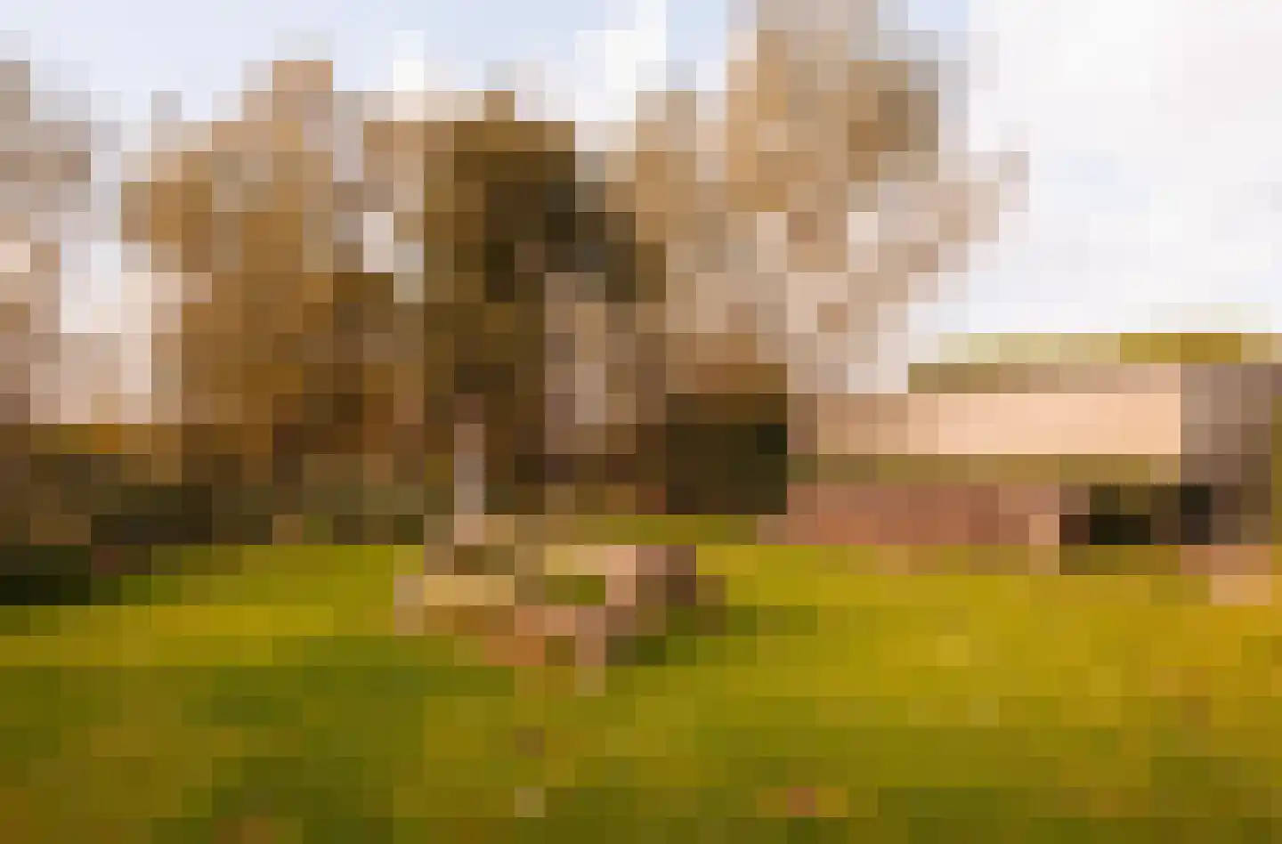 Durgerdammerdijk 173 Amsterdam thumbnail 22