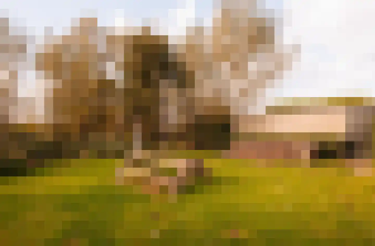 Durgerdammerdijk 173 Amsterdam thumbnail 22