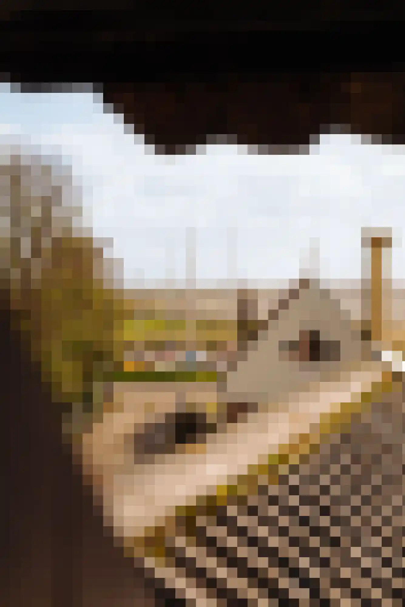Durgerdammerdijk 173 Amsterdam thumbnail 37