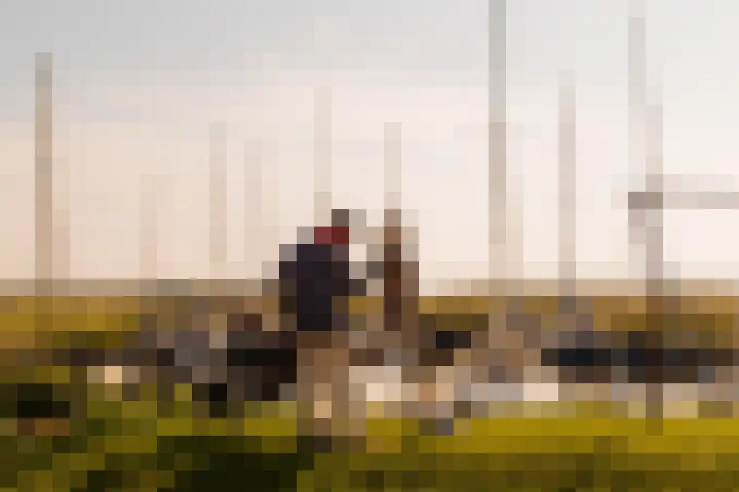 Durgerdammerdijk 173 Amsterdam thumbnail 52