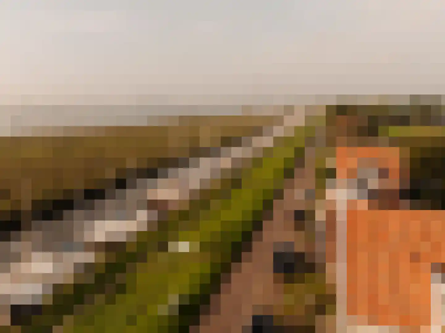 Durgerdammerdijk 173 Amsterdam thumbnail 68