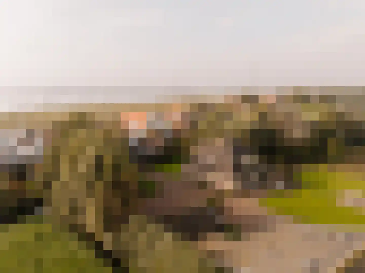 Durgerdammerdijk 173 Amsterdam thumbnail 69