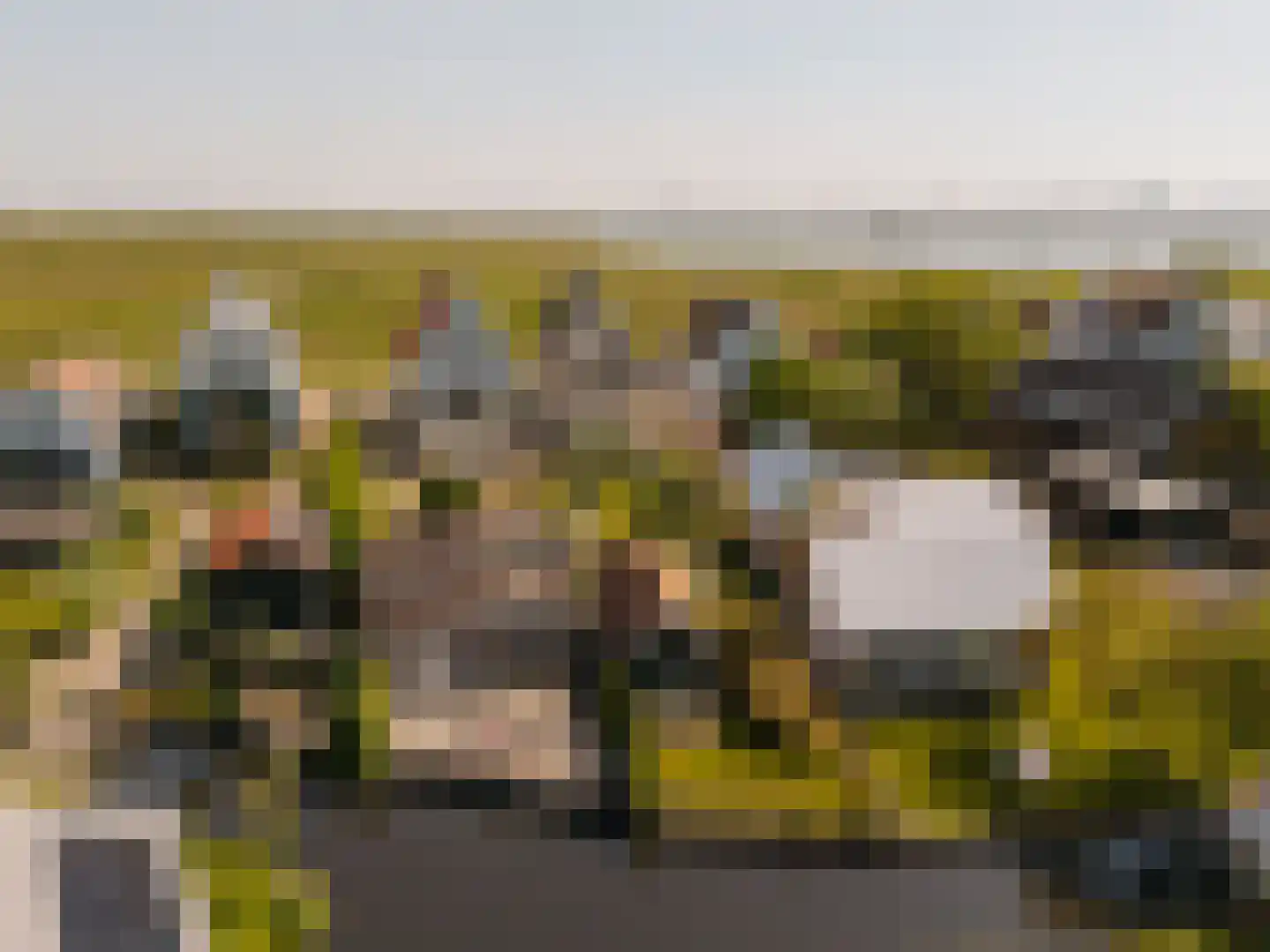 Durgerdammerdijk 193 Amsterdam thumbnail 51
