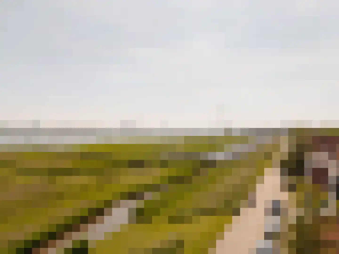 Durgerdammerdijk 193 Amsterdam thumbnail 52