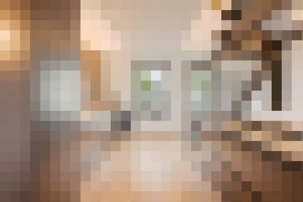 Durgerdammergouw 2 F 3 Amsterdam thumbnail 11