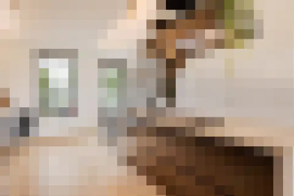Durgerdammergouw 2 F 3 Amsterdam thumbnail 21