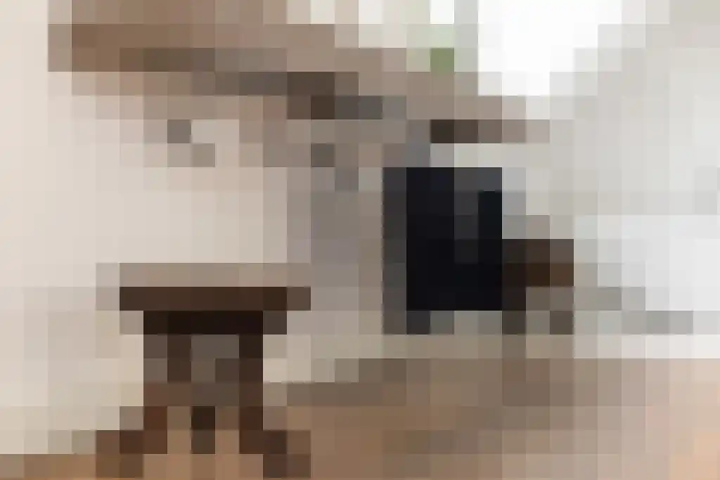Durgerdammergouw 2 F 3 Amsterdam thumbnail 40