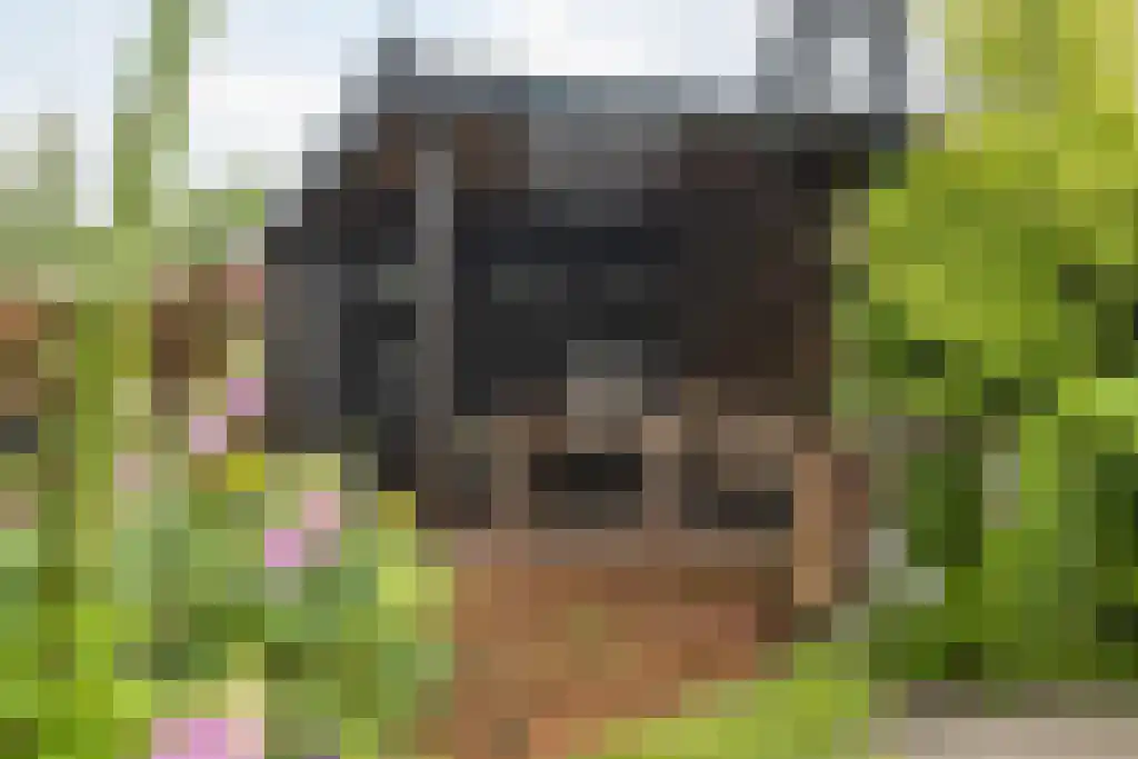 Durgerdammergouw 2 F 3 Amsterdam thumbnail 48