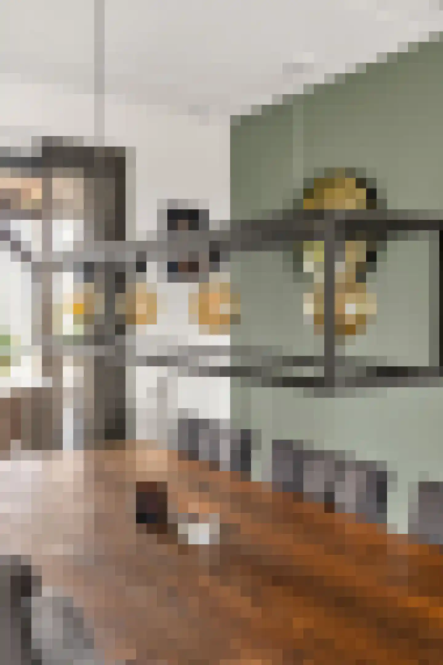 Durgerdammergouw 45 Amsterdam thumbnail 13