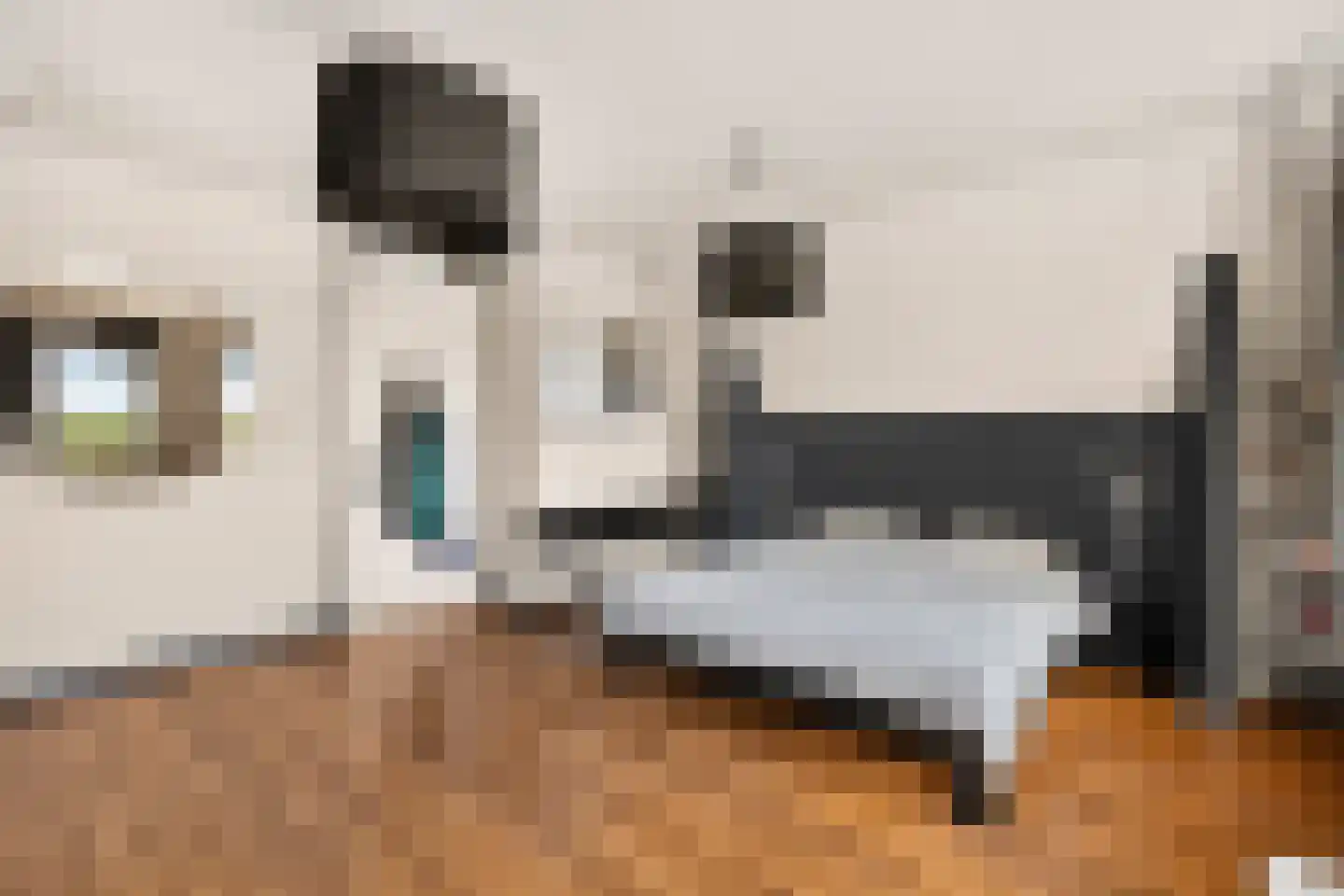Durgerdammergouw 45 Amsterdam thumbnail 30