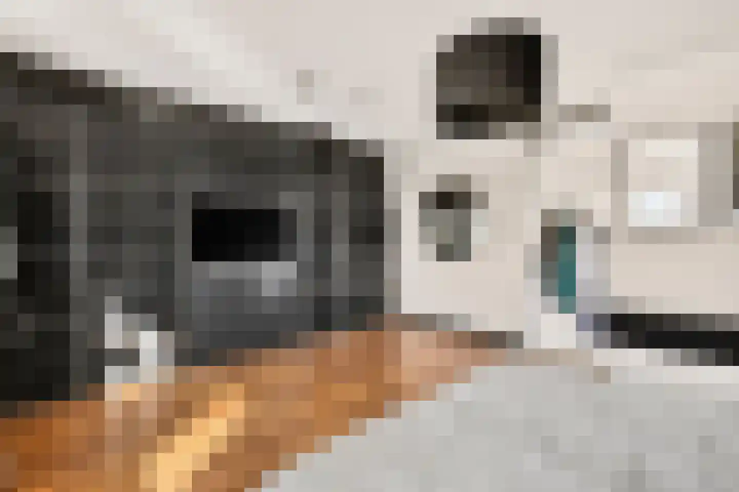 Durgerdammergouw 45 Amsterdam thumbnail 31