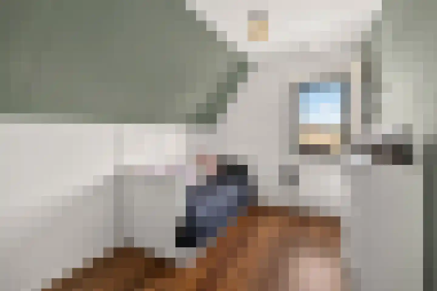 Durgerdammergouw 45 Amsterdam thumbnail 35
