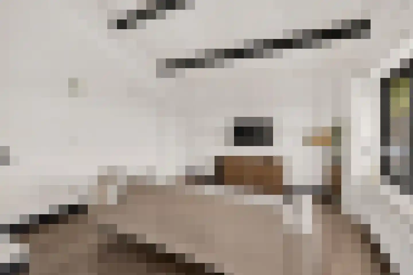 Durgerdammergouw 45 Amsterdam thumbnail 59