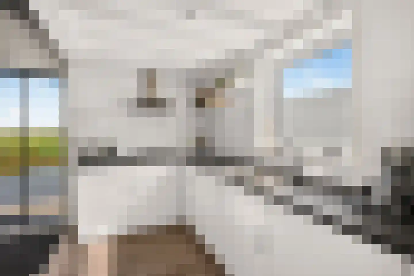 Durgerdammergouw 45 Amsterdam thumbnail 65