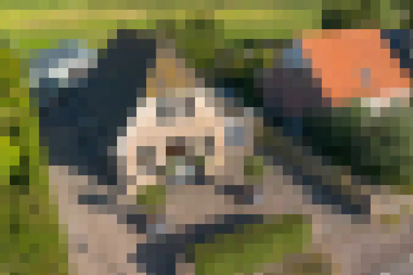 Durgerdammergouw 45 Amsterdam thumbnail 84