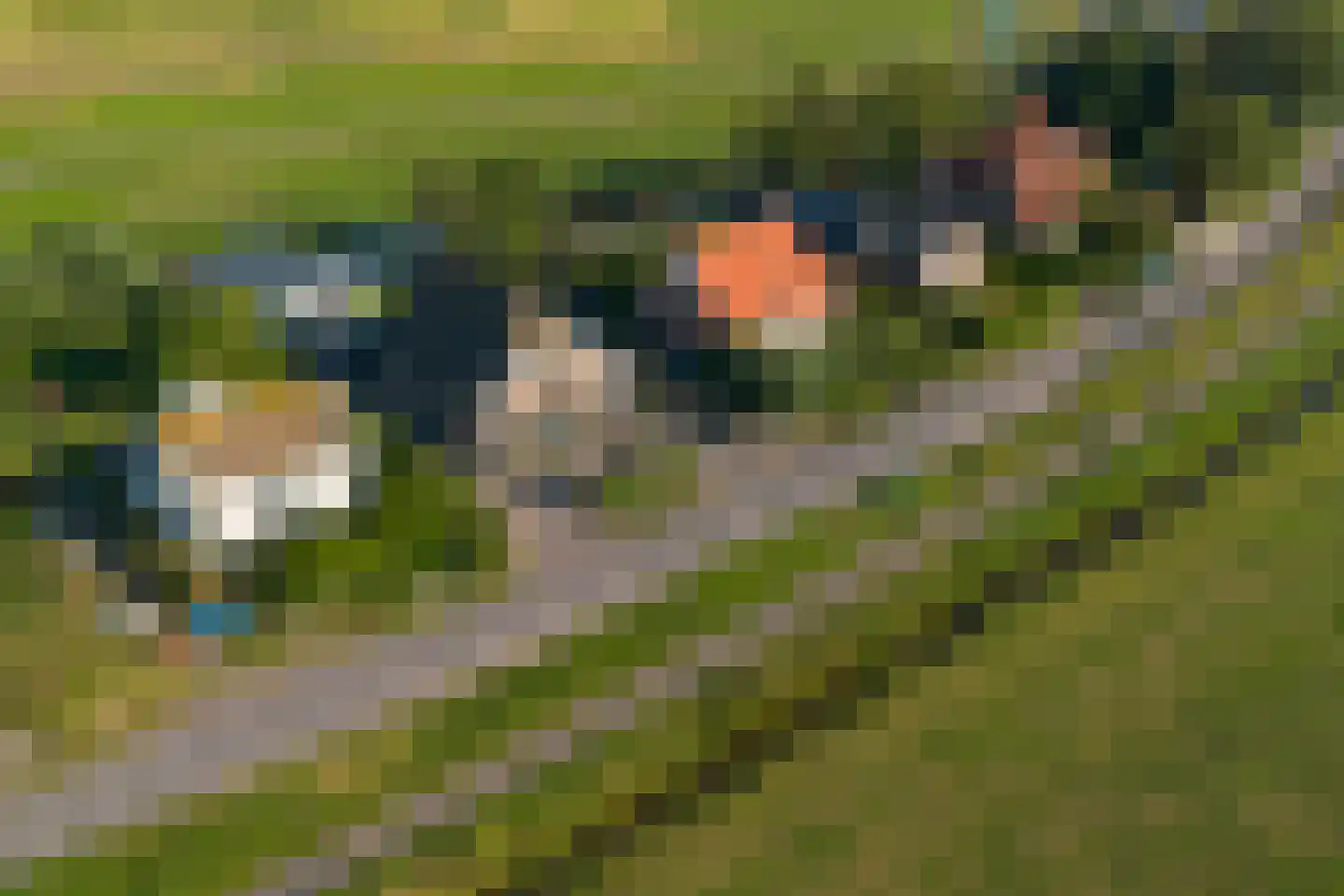Durgerdammergouw 45 Amsterdam thumbnail 86