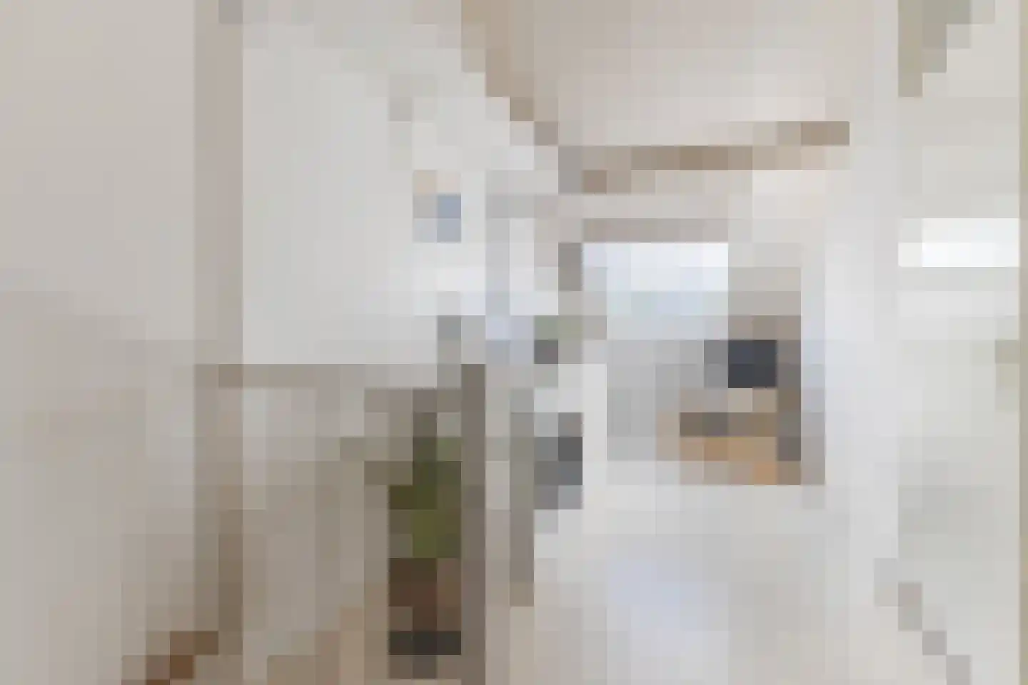 Durgerdamstraat 15 Zaandam thumbnail 28