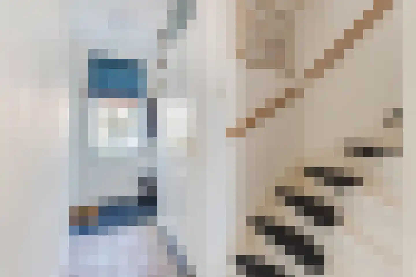 Durgerdamstraat 15 Zaandam thumbnail 8