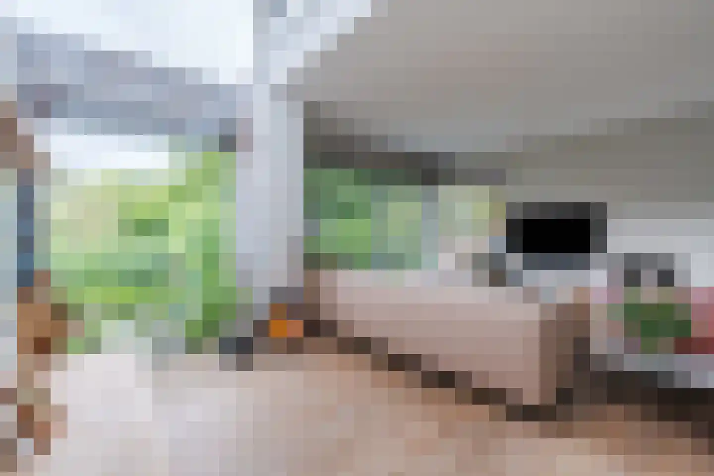 Durin 11 Geldrop thumbnail 22