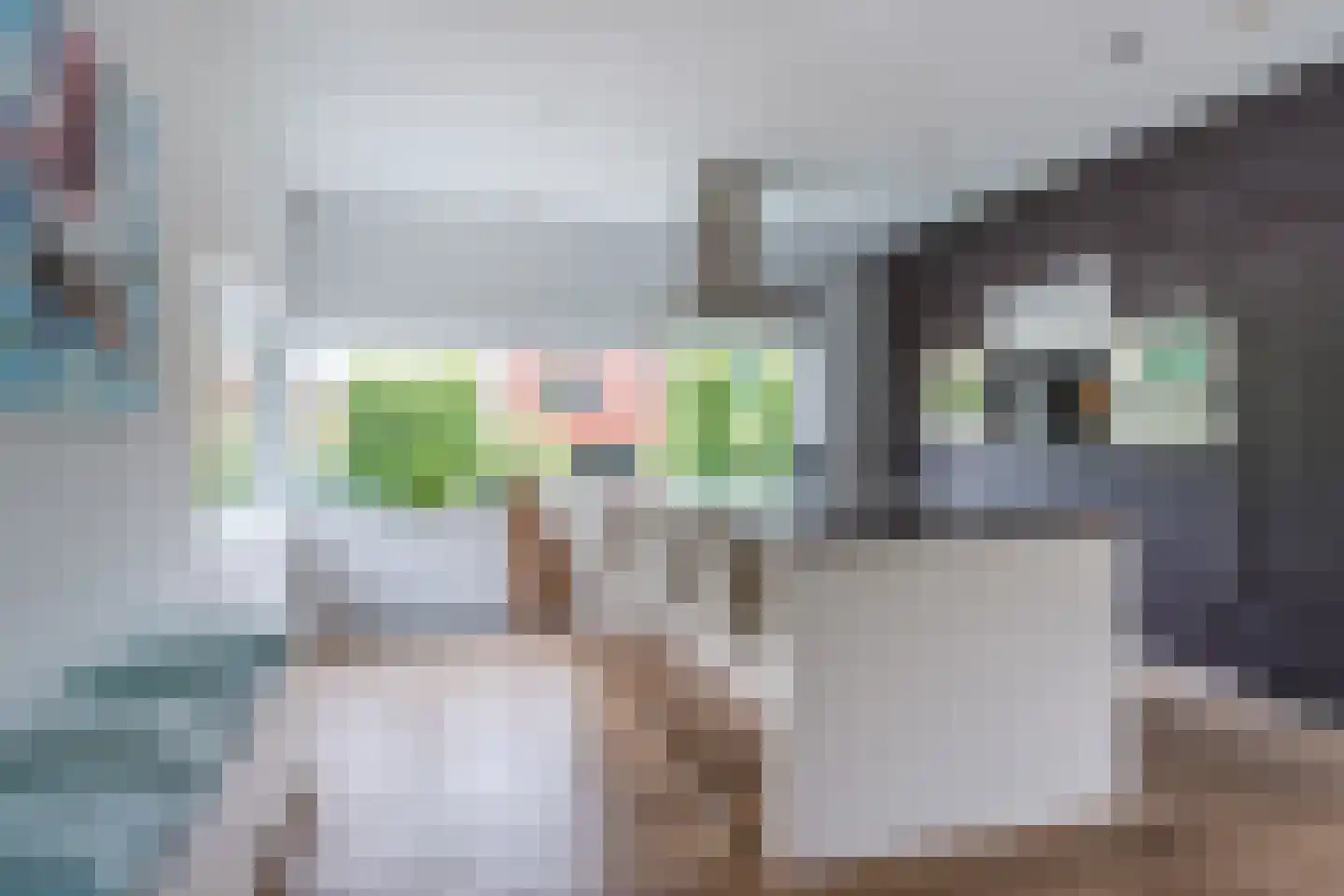 Durin 11 Geldrop thumbnail 28
