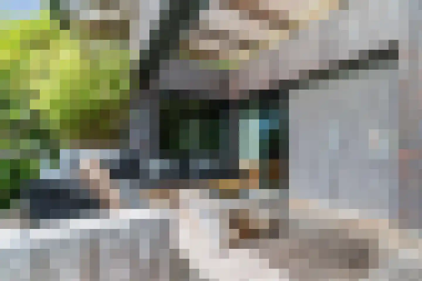 Durin 11 Geldrop thumbnail 37