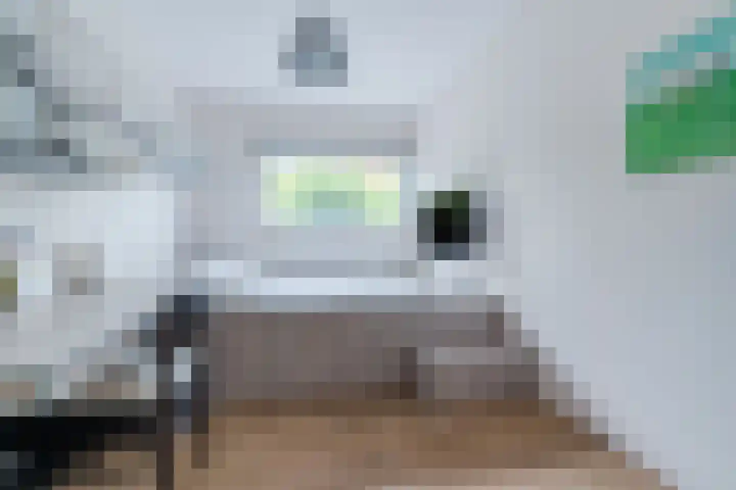 Durin 11 Geldrop thumbnail 54