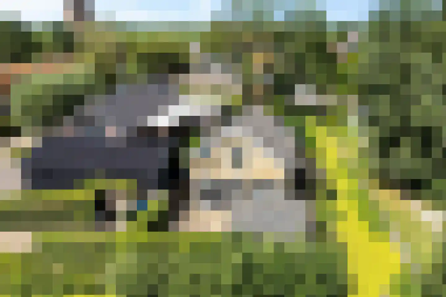 Durk Dijkstrastrjitte 11 in Tersoal