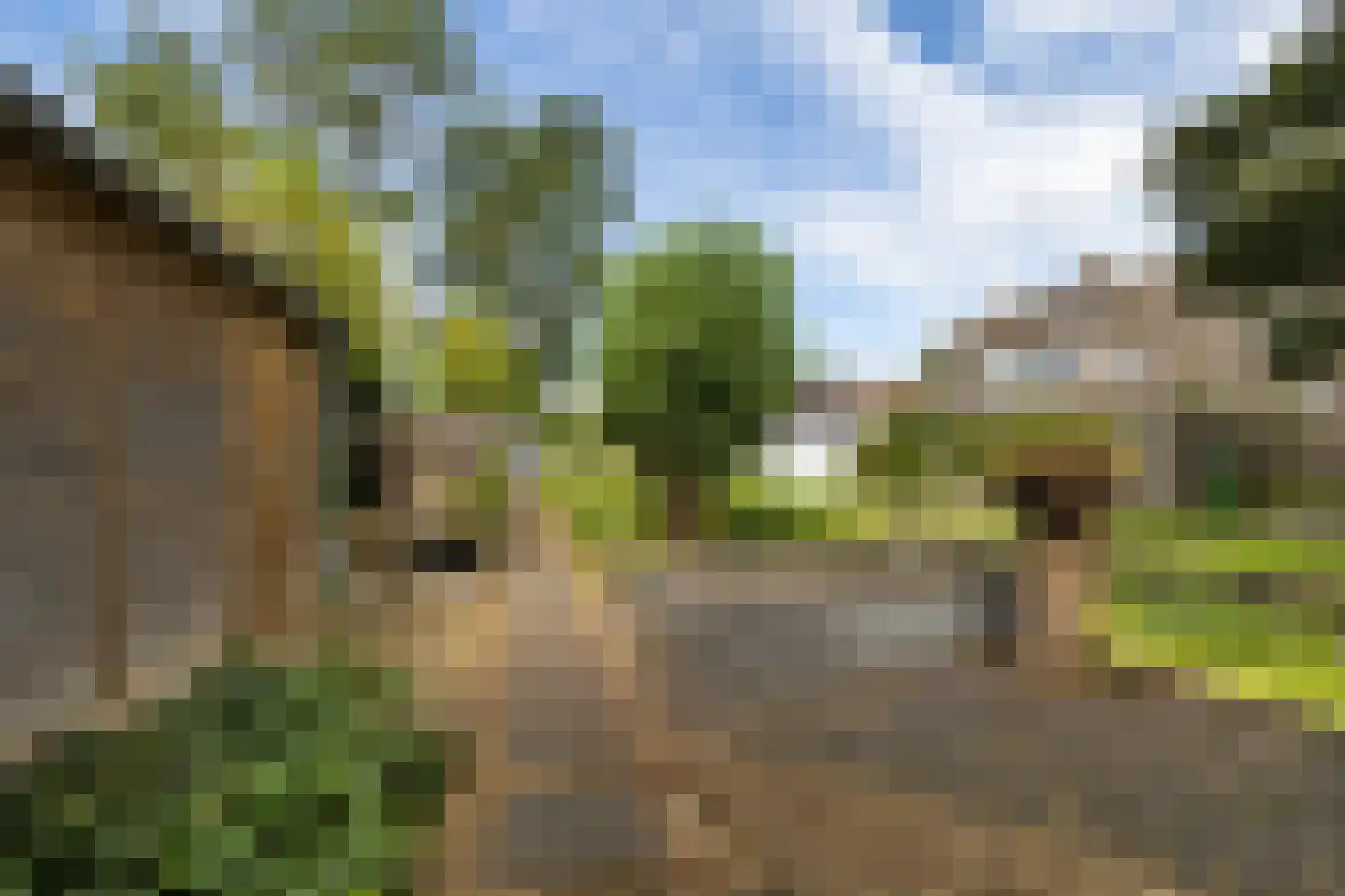 Durk Dijkstrastrjitte 11 Tersoal thumbnail 11