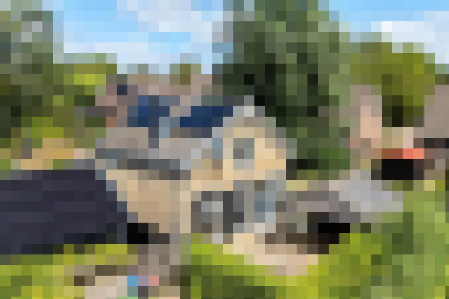 Durk Dijkstrastrjitte 11 Tersoal foto 2