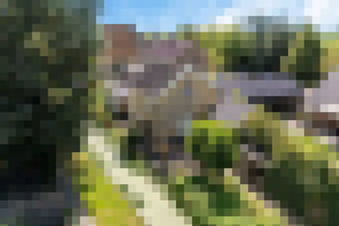 Durk Dijkstrastrjitte 11 Tersoal thumbnail 30