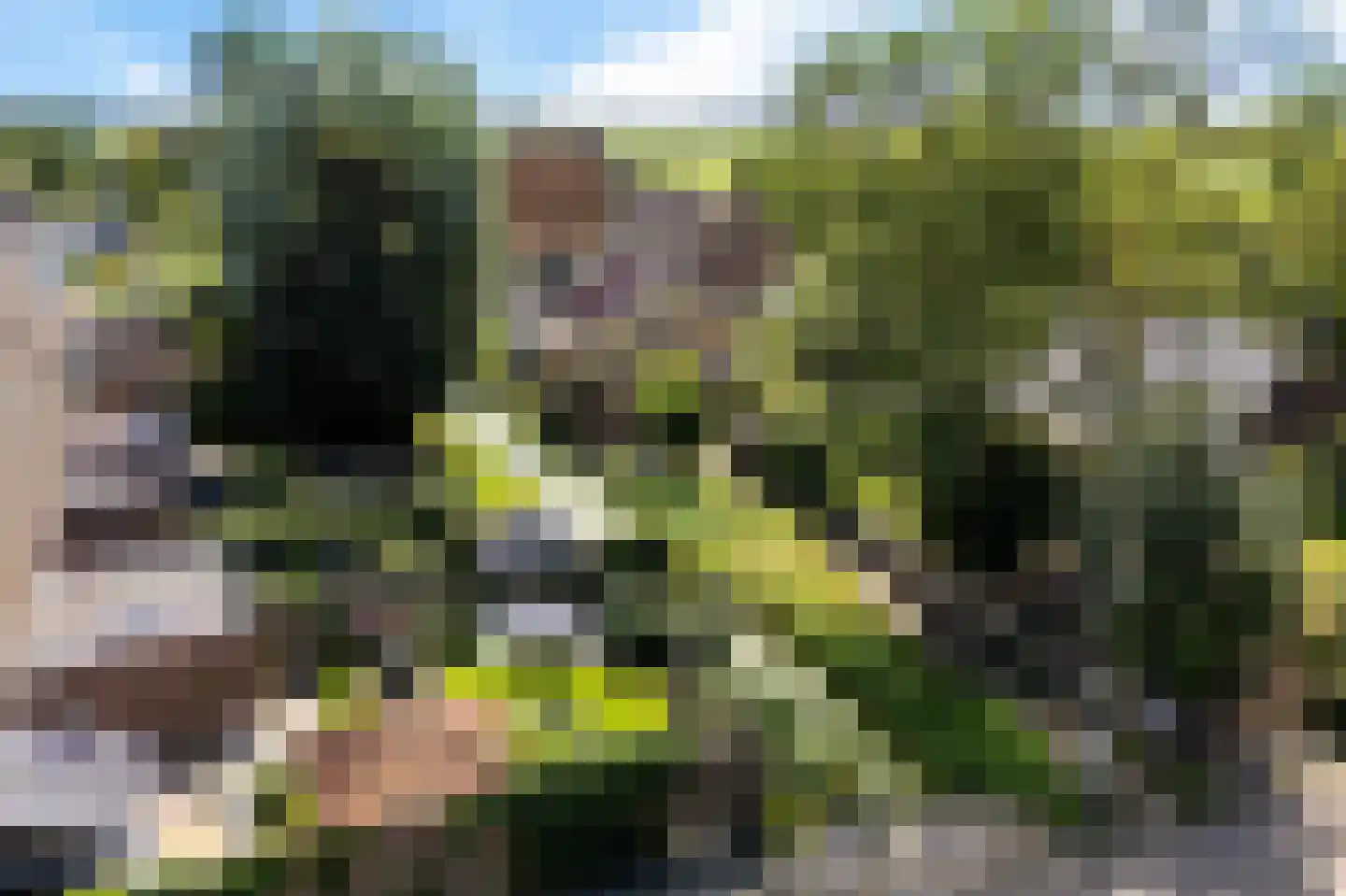 Durk Dijkstrastrjitte 11 Tersoal thumbnail 31