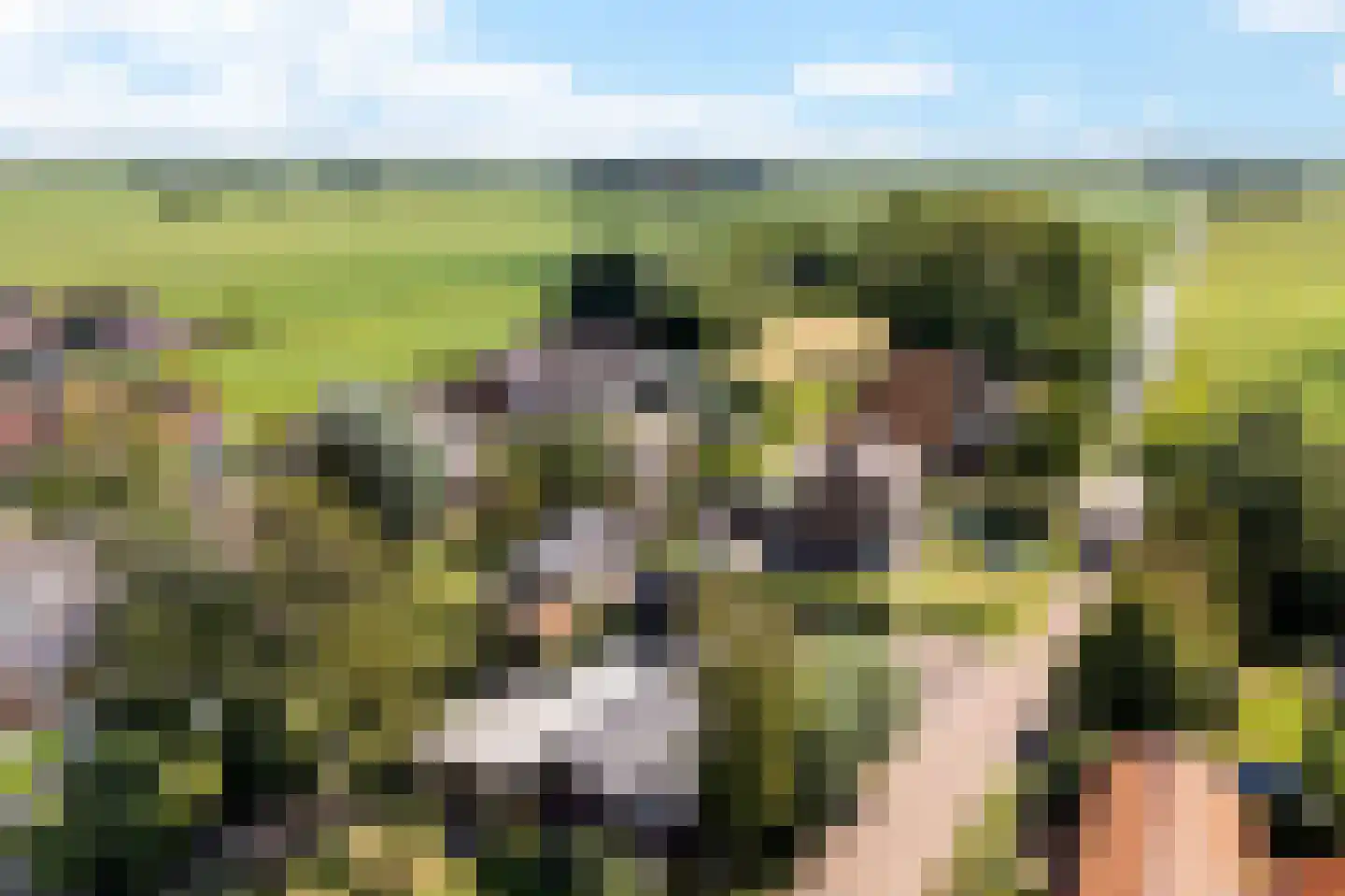 Durk Dijkstrastrjitte 11 Tersoal thumbnail 32
