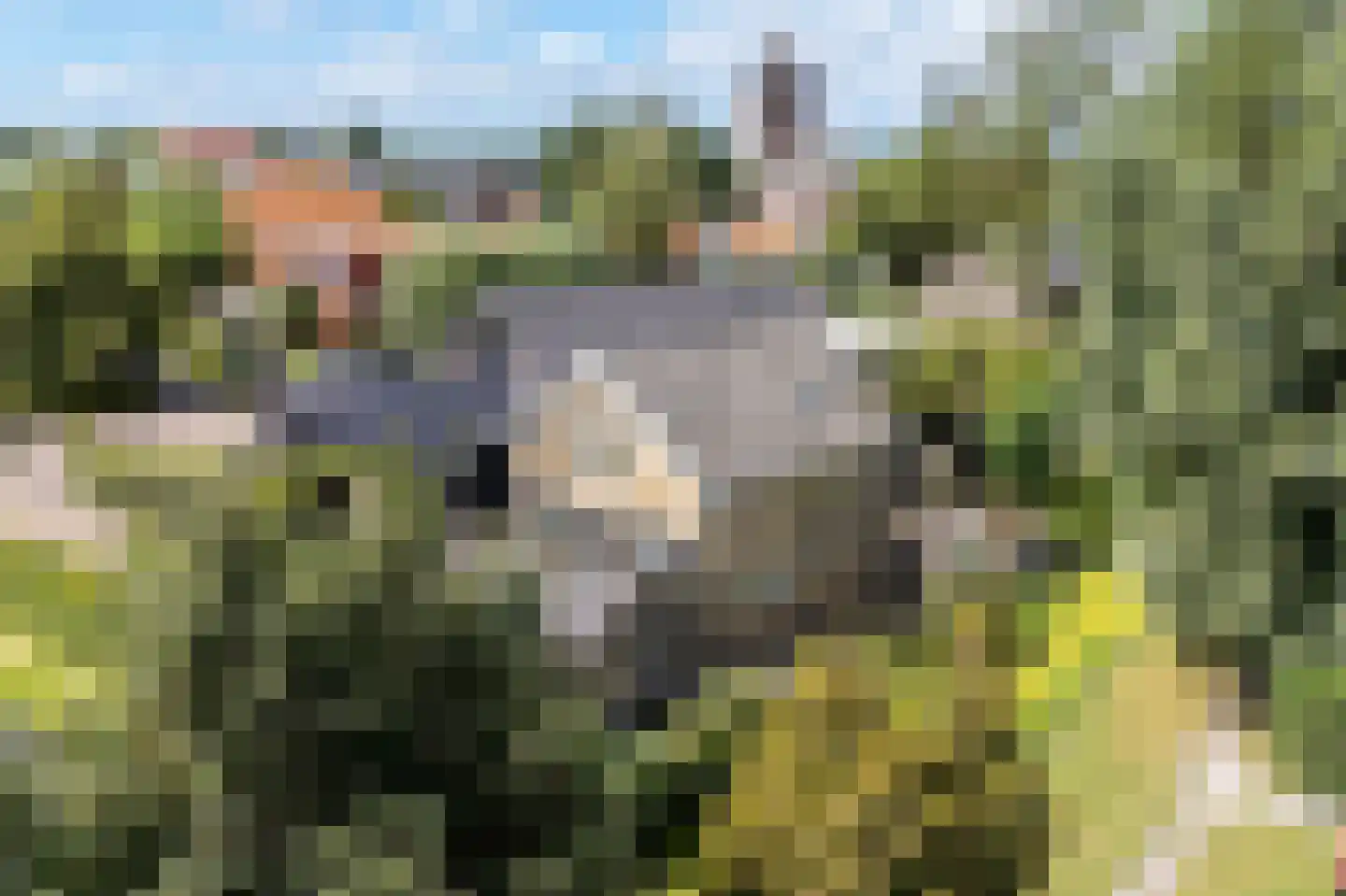 Durk Dijkstrastrjitte 11 Tersoal thumbnail 34