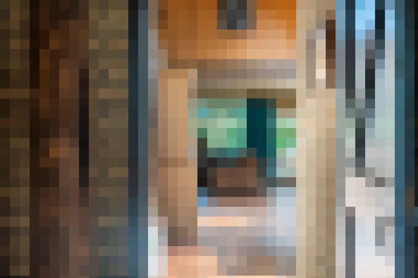 Durk Ljibbeswei 5 De Tike thumbnail 23