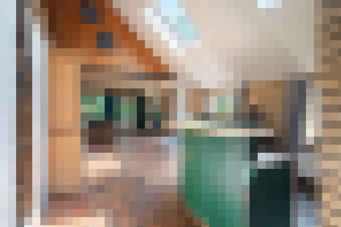 Durk Ljibbeswei 5 De Tike thumbnail 24