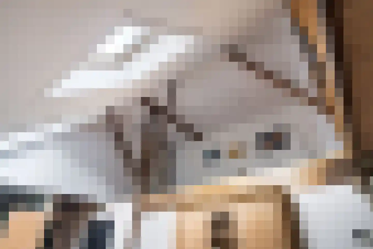 Durk Ljibbeswei 5 De Tike thumbnail 26