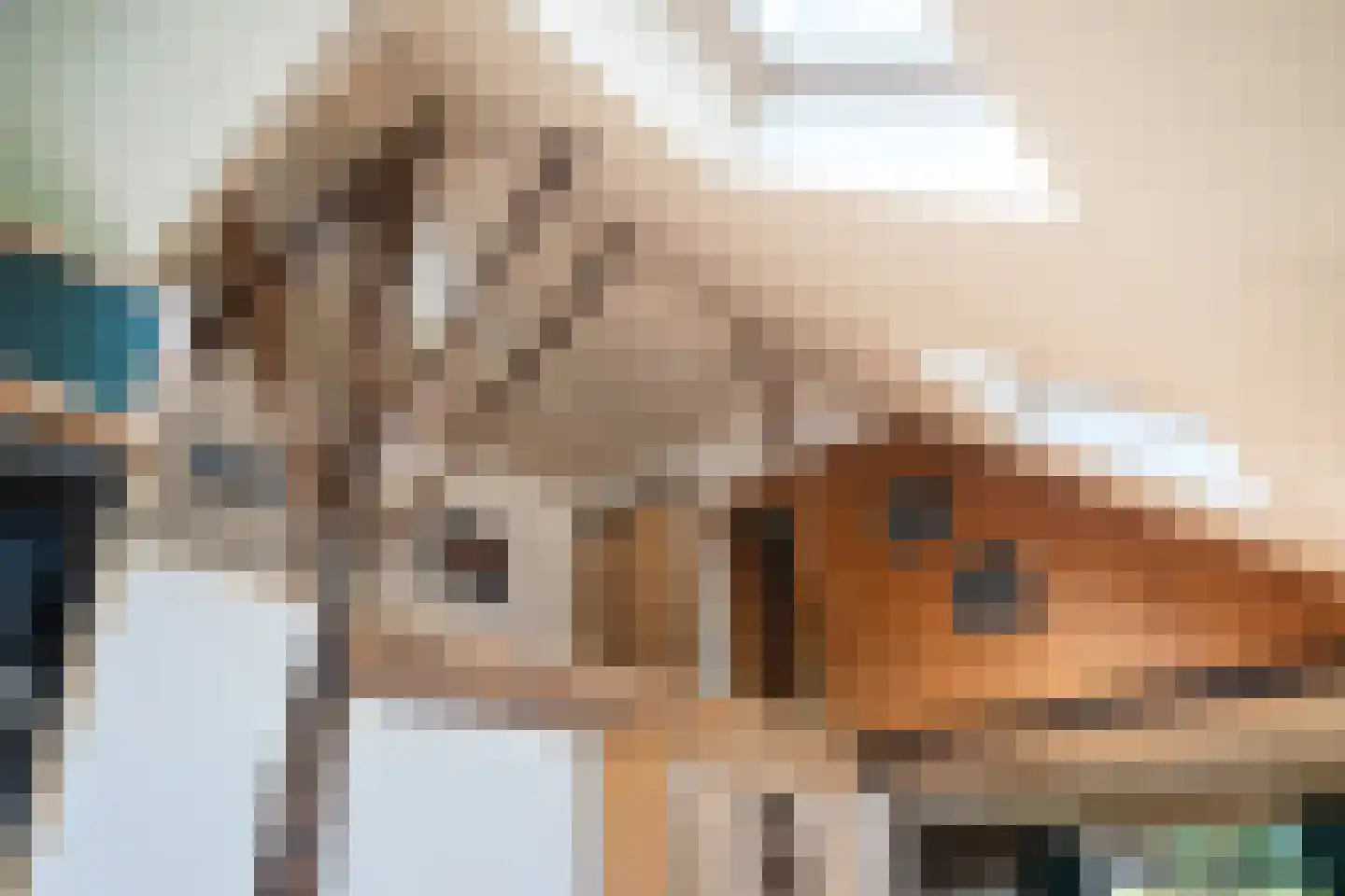 Durk Ljibbeswei 5 De Tike thumbnail 28