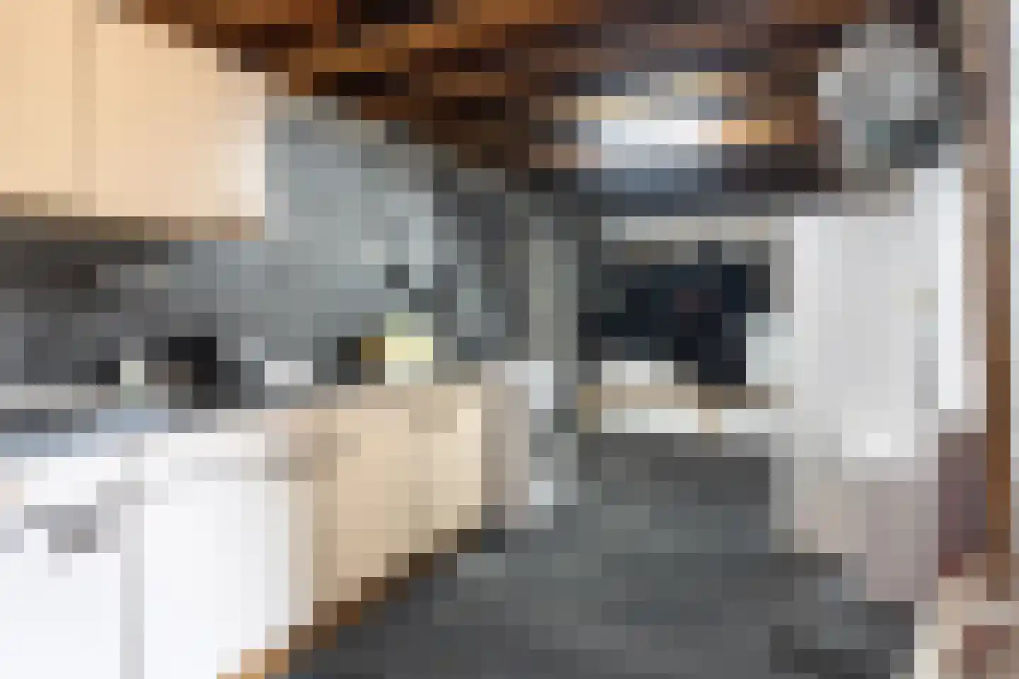 Durk Ljibbeswei 5 De Tike thumbnail 34