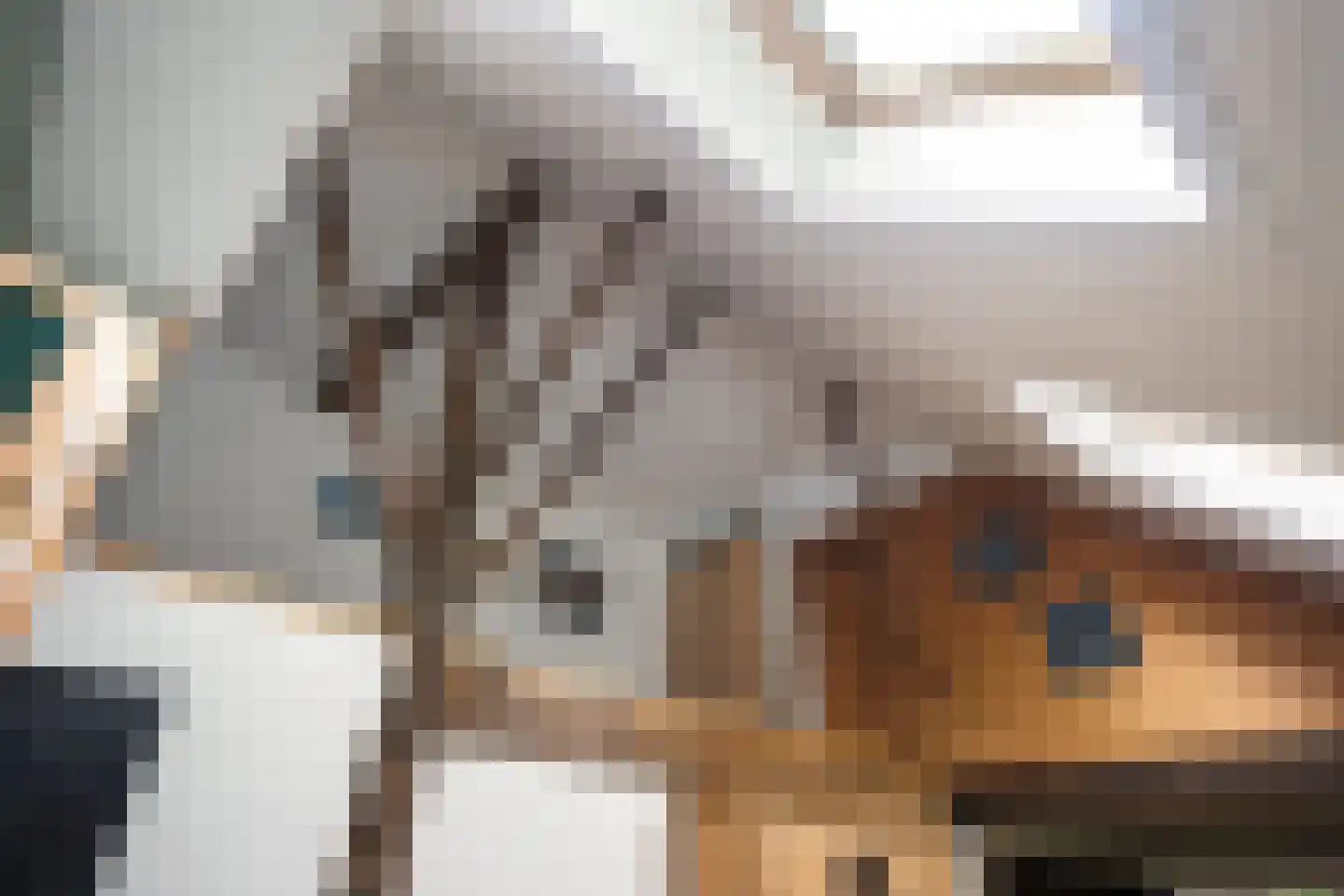 Durk Ljibbeswei 5 De Tike thumbnail 35